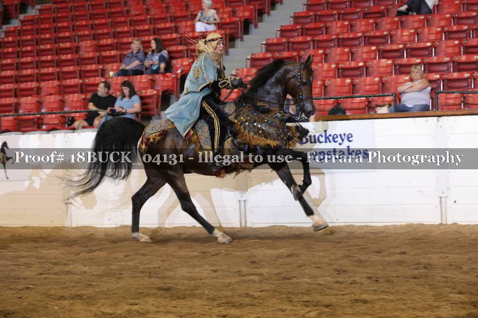 Proof 18BUCK_04131
