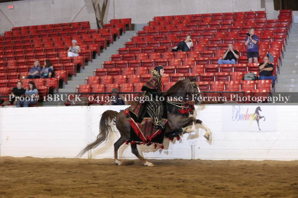 Proof 18BUCK_04132