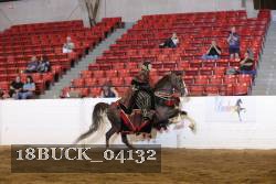 18BUCK_04132 proof