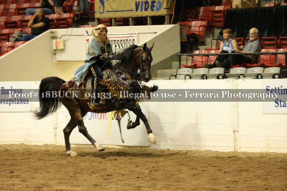 Proof 18BUCK_04133