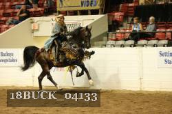 18BUCK_04133 proof