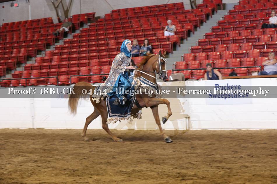 Proof 18BUCK_04134