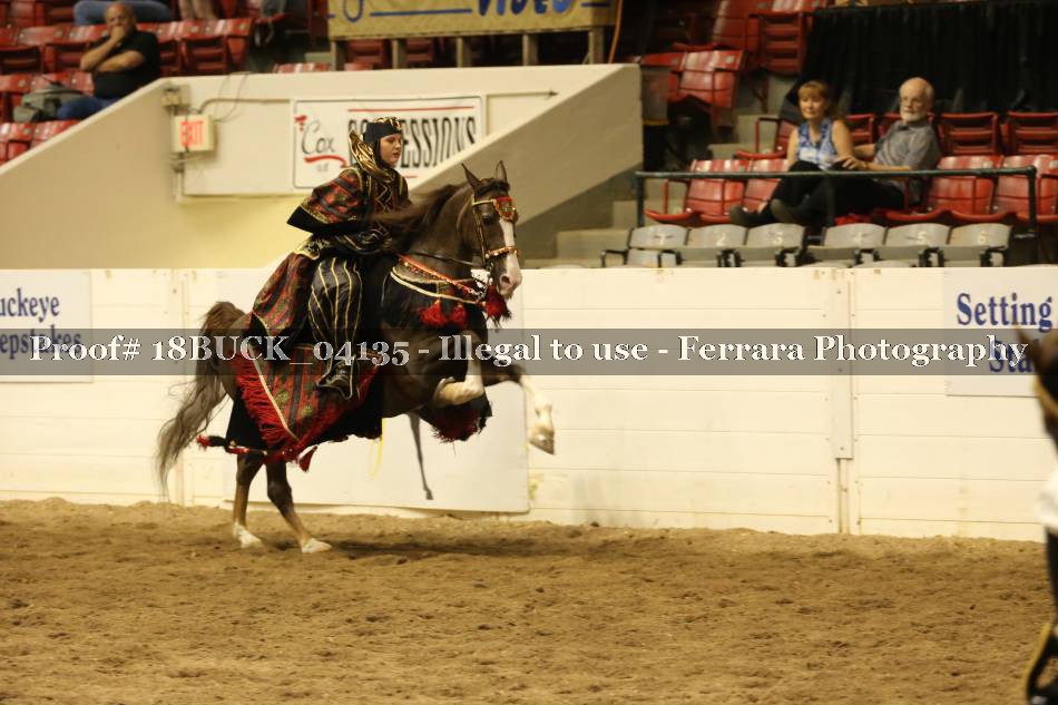 Proof 18BUCK_04135