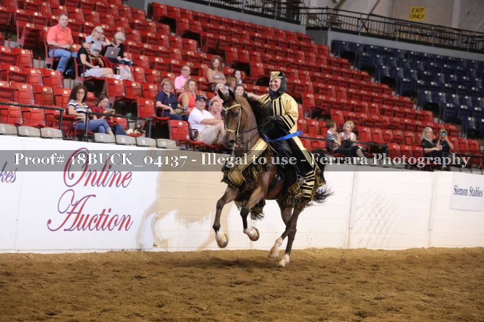 Proof 18BUCK_04137