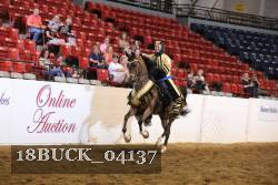 18BUCK_04137 proof