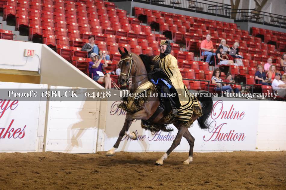 Proof 18BUCK_04138