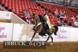18BUCK_04138 proof