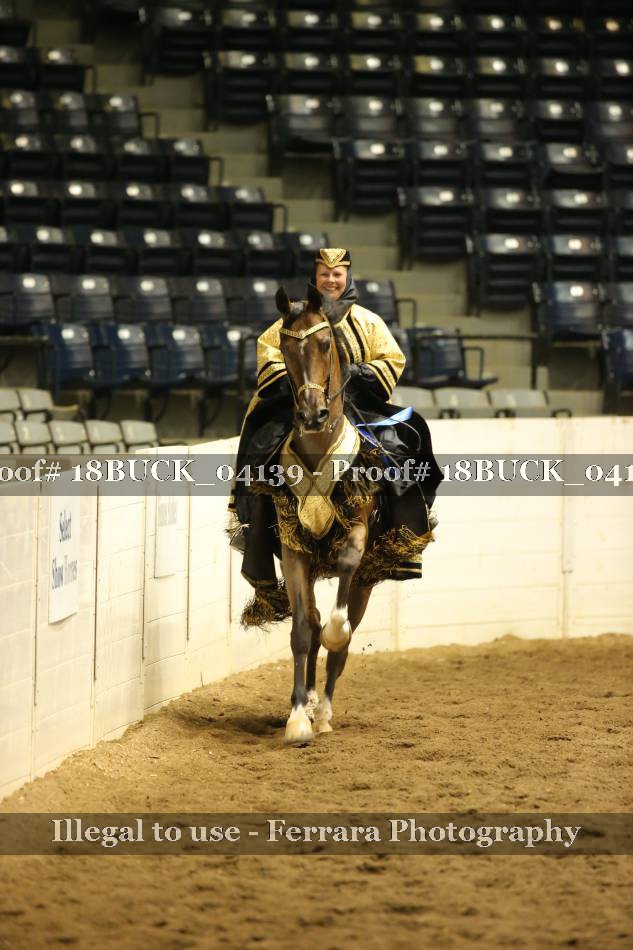 Proof 18BUCK_04139