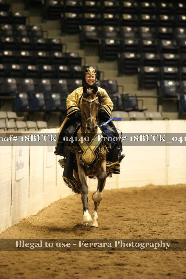Proof 18BUCK_04140