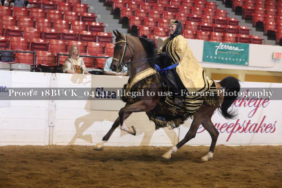Proof 18BUCK_04141