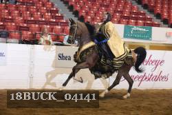 18BUCK_04141 proof