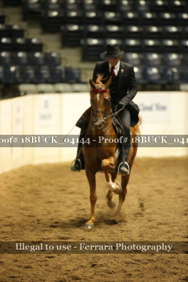 Proof 18BUCK_04144