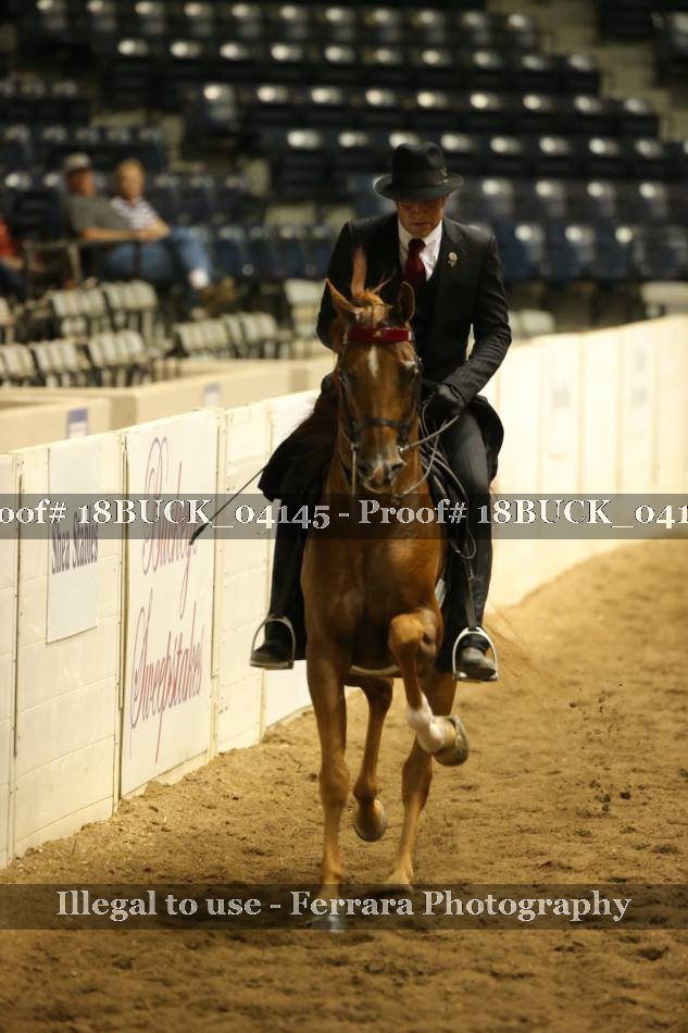 Proof 18BUCK_04145
