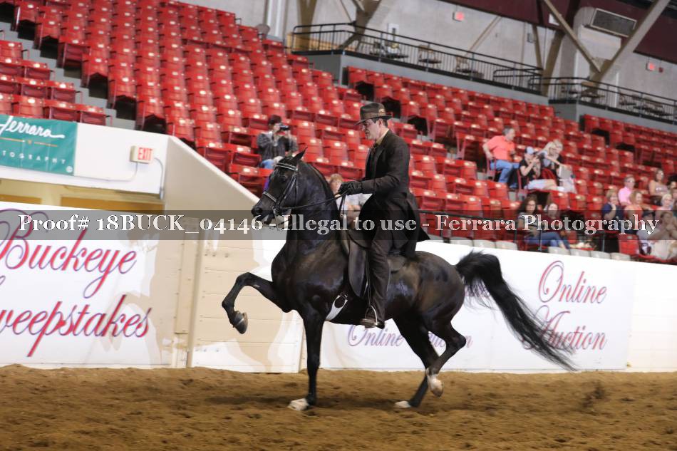 Proof 18BUCK_04146