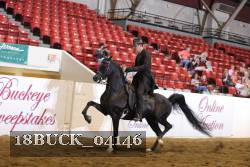 18BUCK_04146 proof
