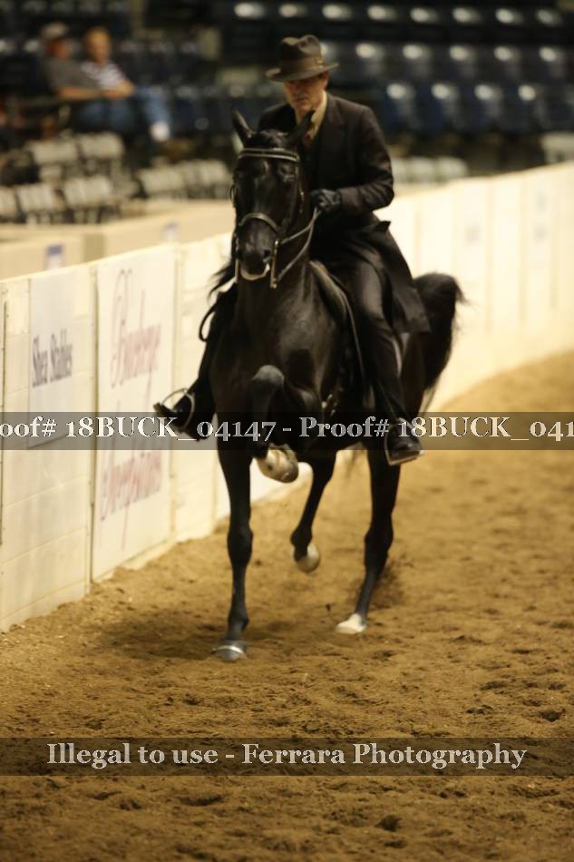 Proof 18BUCK_04147