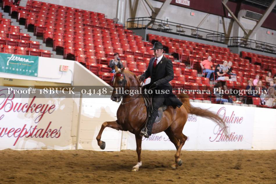 Proof 18BUCK_04148