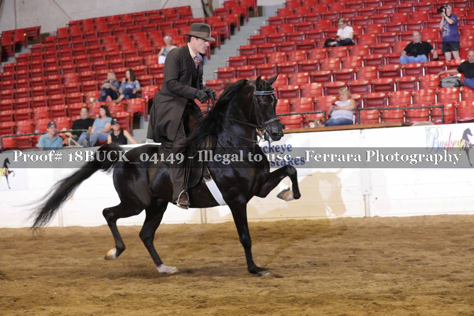 Proof 18BUCK_04149