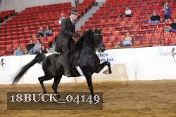 18BUCK_04149 proof