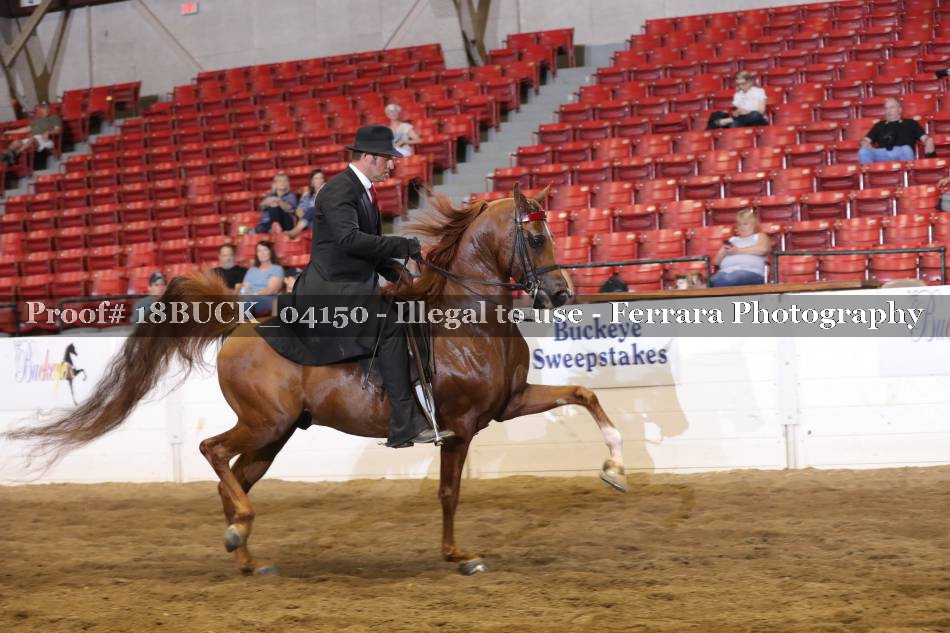 Proof 18BUCK_04150