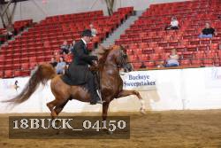 18BUCK_04150 proof