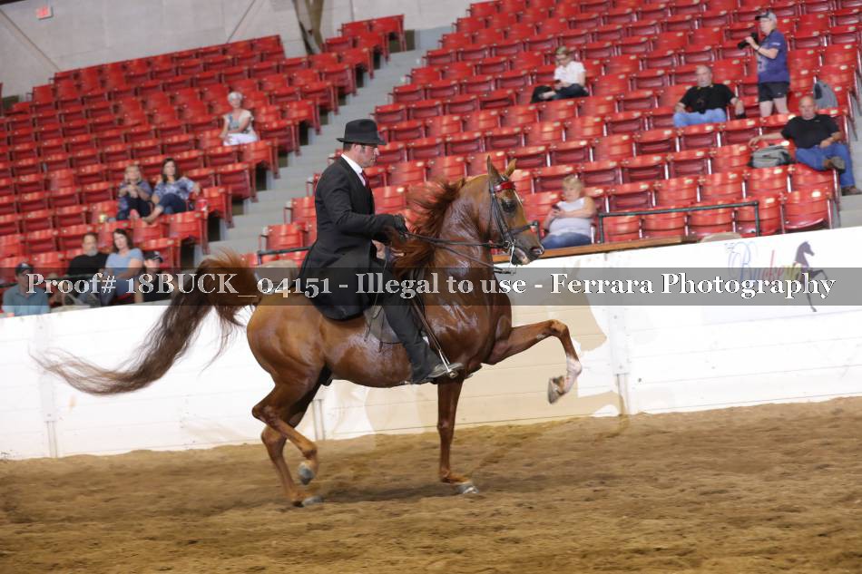 Proof 18BUCK_04151