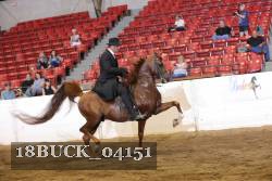 18BUCK_04151 proof