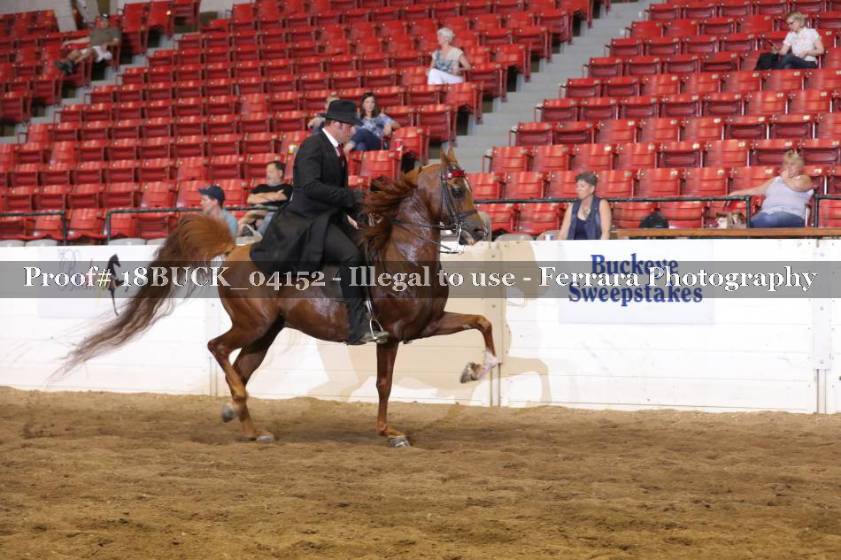 Proof 18BUCK_04152