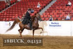 18BUCK_04152 proof