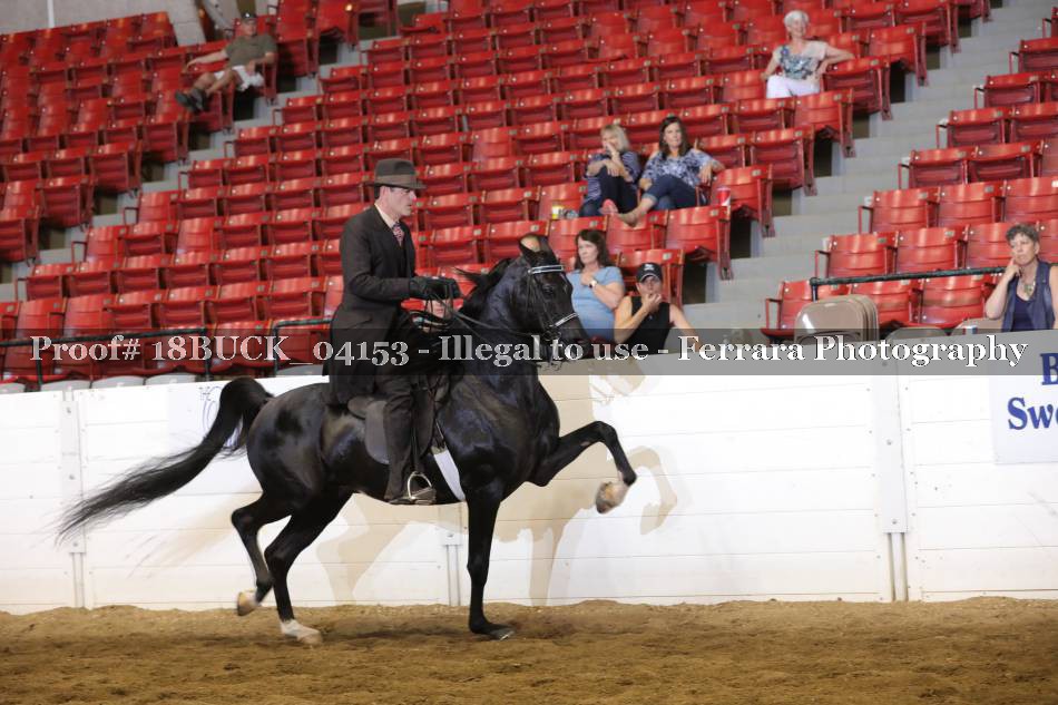 Proof 18BUCK_04153