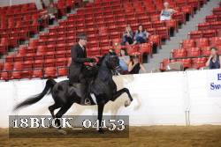 18BUCK_04153 proof