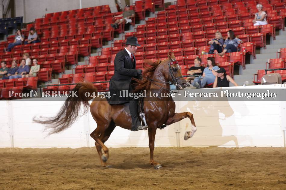Proof 18BUCK_04154
