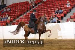 18BUCK_04154 proof