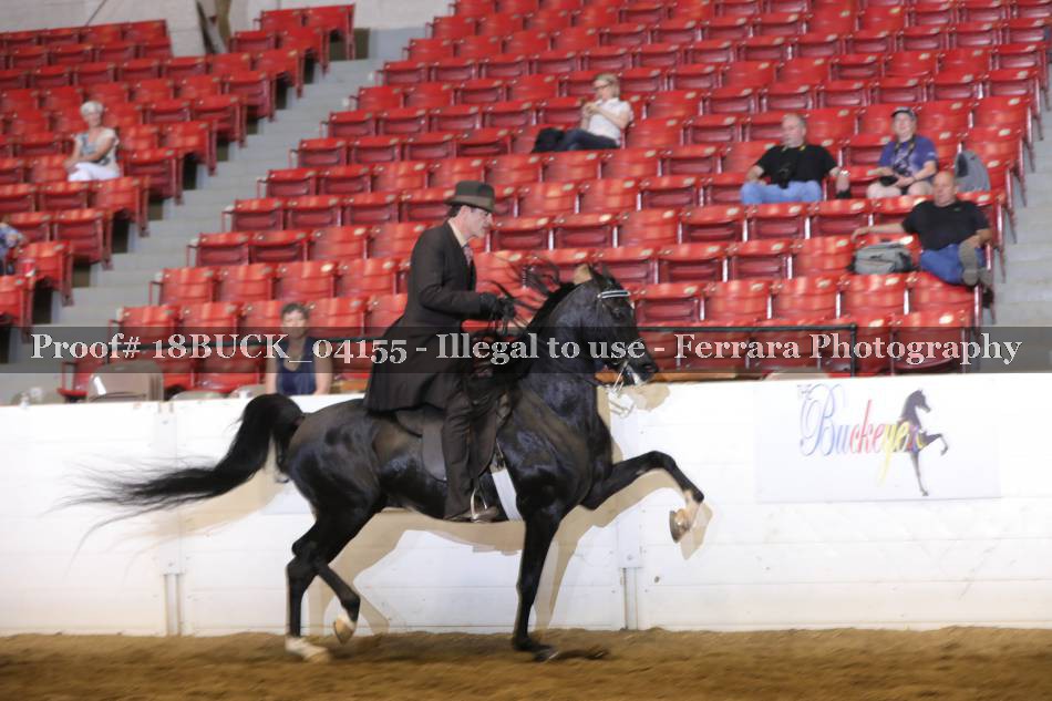 Proof 18BUCK_04155