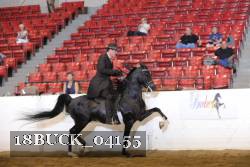 18BUCK_04155 proof