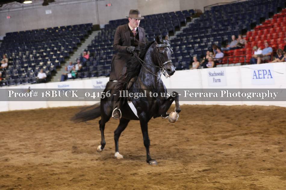 Proof 18BUCK_04156