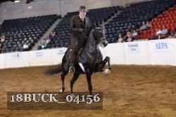 18BUCK_04156 proof