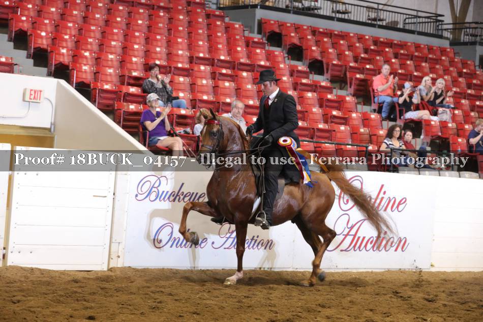 Proof 18BUCK_04157