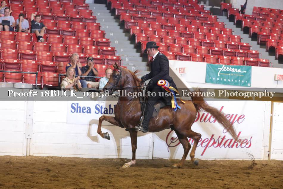 Proof 18BUCK_04158