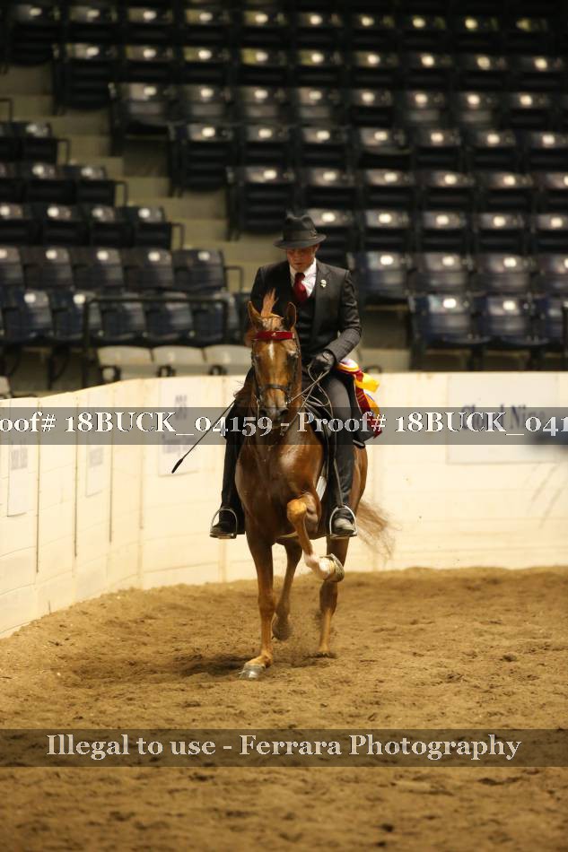 Proof 18BUCK_04159