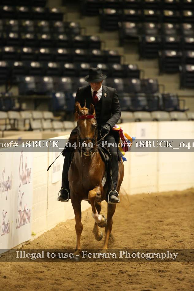 Proof 18BUCK_04160