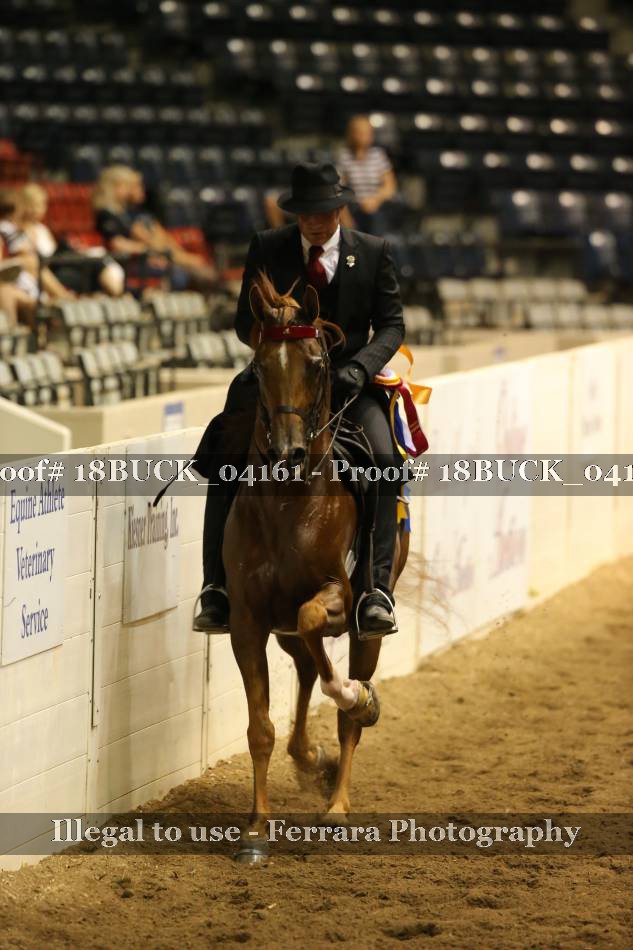 Proof 18BUCK_04161