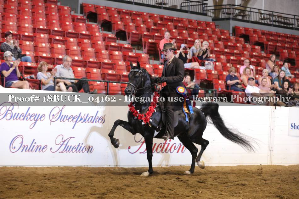 Proof 18BUCK_04162
