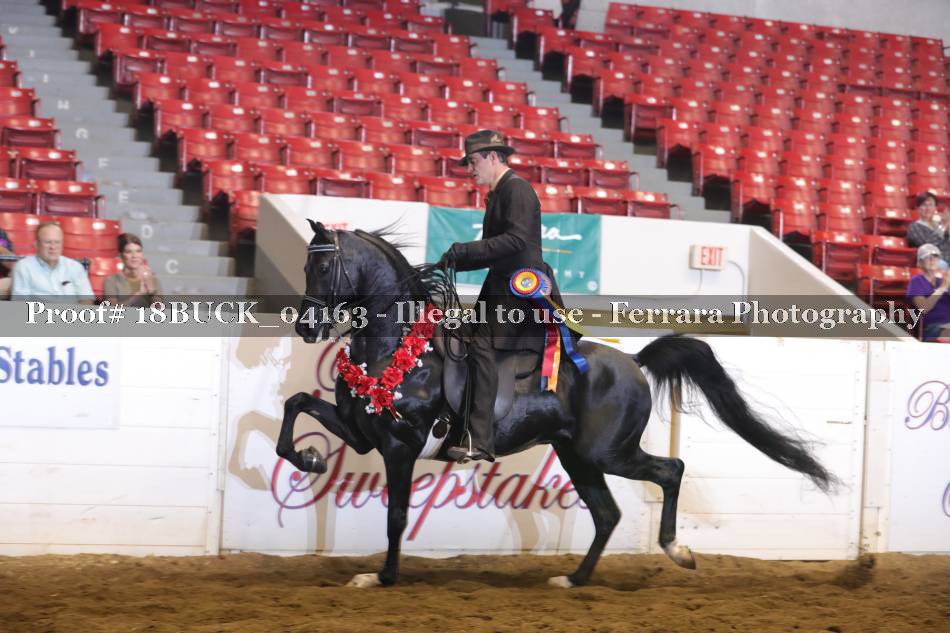 Proof 18BUCK_04163