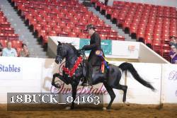 18BUCK_04163 proof