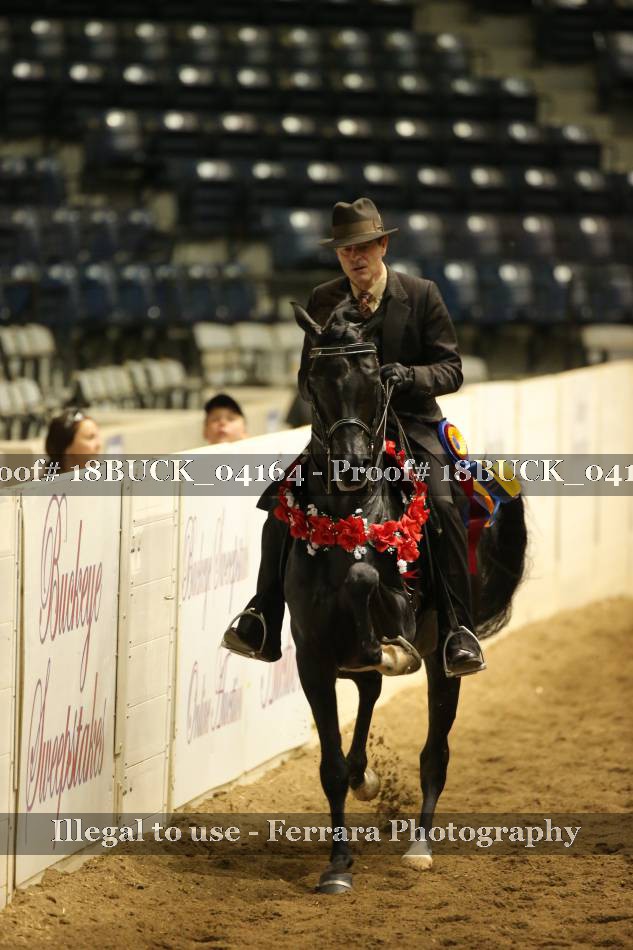 Proof 18BUCK_04164