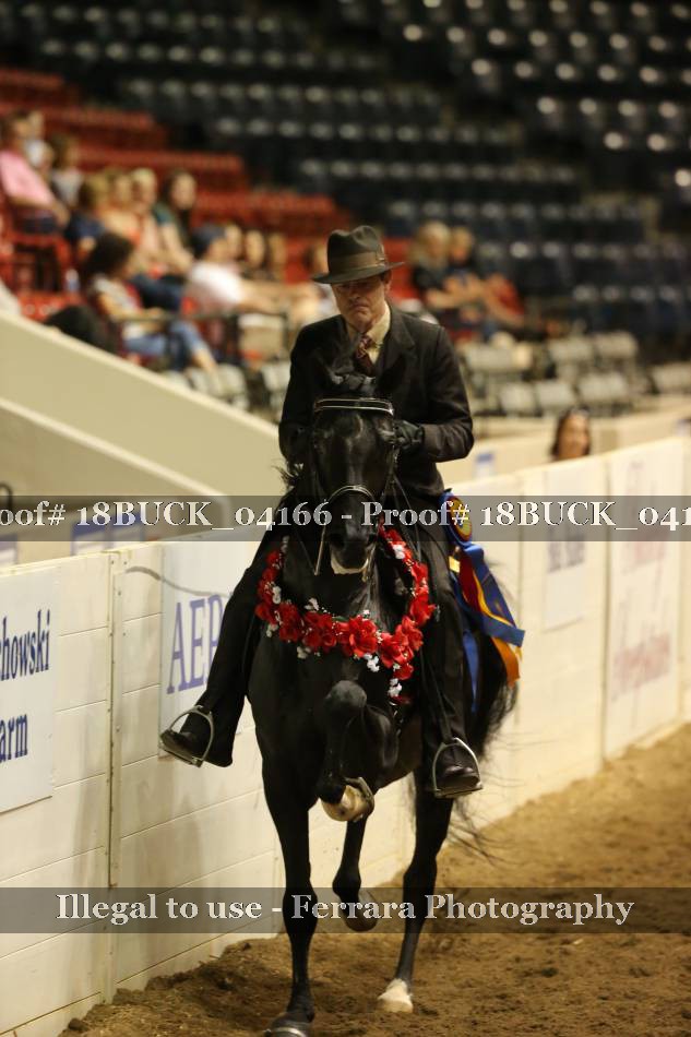 Proof 18BUCK_04166