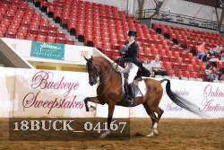 18BUCK_04167 proof