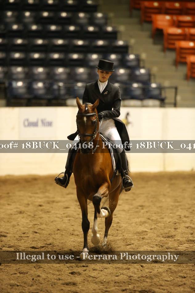 Proof 18BUCK_04168
