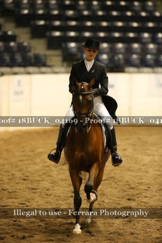 Proof 18BUCK_04169